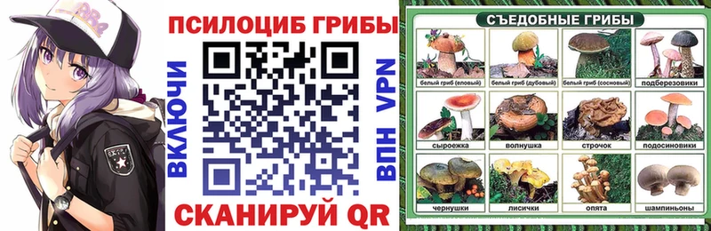Галлюциногенные грибы Cubensis  маркетплейс телеграм  Шебекино  как найти наркотики 